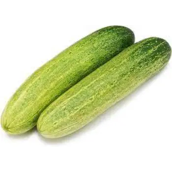 cucumber (25)-6220982-56041.webp